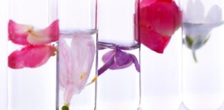 Jak dbać o świeże kwiaty w wazonie aby zachowały świeżość na dłużej
